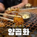 대번막창 | 대구 수성구 들안길 양대창 양곱창 한우곱창대창 맛집 사진많음 [양곱화] 프라이빗한 룸으로 깔끔하게...
