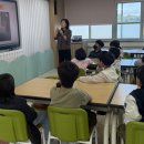 초락초교 이미지