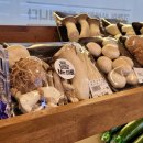 맛있는과일신선한야채