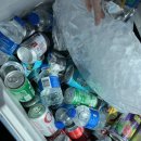 청리농장 | 🏝 하와이│허니문리조트 VIP 섬투어 후기 (조희연 가이드)