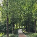 시민문화체육공원 산책로 이미지