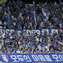 수원-1448 이미지