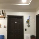 소도락하우스 | 제주 게하 파티 협재게스트하우스 문어오빠 감성 가득한 밤 후기
