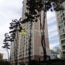 정자천로188번길 이미지