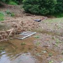 특별재난지역 아니라고 보상도 안나온대요 이미지