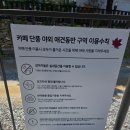 서울근교카페 추천 성남 대형카페 단풍 후기