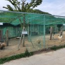 고운마을캠핑장 이미지