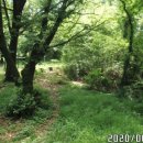 구라산성謳羅山城 이미지