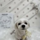 장수서창동-5 이미지