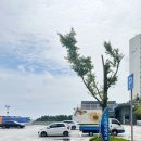 영도구국민체육센터 이미지