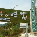 밀양약국 Daum카페