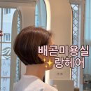 랑헤어 - 시흥시 서울대학로278번길 8 | 랑헤어