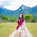 디자인마흐 이미지