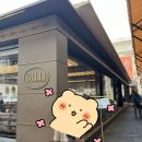 [이탈리아/피렌체/카페] 카페 질리 Caffe Gilli (300년 전통 카페)
