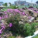 재놀스배어린이집 이미지