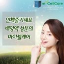 마이셀