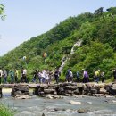 진천장미공원 이미지