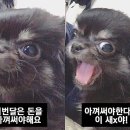 개스트하우스 이미지