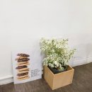 봉곡동227 이미지