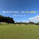 포천 아도니스 CC 코스 상태 | 4월 골프장 그린 상태와 라운드 후기