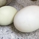 (주)삼엽 이미지