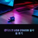 256 | 샌디스크 USB 256 실사용 후기 (대용량 저장, 얼마나 쓸만할까?)