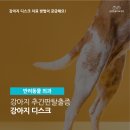 금릉동물의료센터 네이버블로그