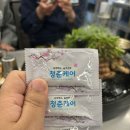시온산장 | [일상] 4월의 봄이 왔나 봄(만선호, 용장어, 빛나는A앙상블, 우리산장, 양지암조각공원)