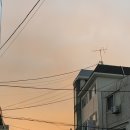 훈진커피 네이버블로그
