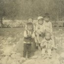 서창초등학교 이미지
