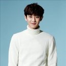 가이아그룹