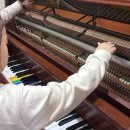 염주초등학교 이미지