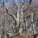 가덕도 산행 [2013-01-26] - 부산광역시 강서구 소재