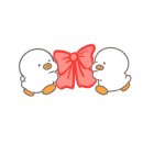 청송막걸리 이미지