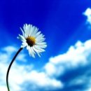 푸른하늘 이미지