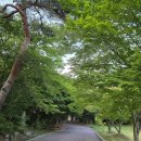 수덕사 - 1062 | 예산 수덕사 후기 조용한 숲길 산책하기 좋았던 힐링 명소
