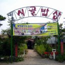 옛골보리밥 이미지