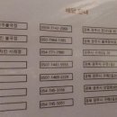 닛시피자