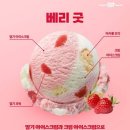 굿바스켓 | 배스킨라빈스 배라 신상 시즌 메뉴 두바이에서 온 엄마는 외계인 진정한 쫀꾸렛 베리굿 내돈내산 솔직후기