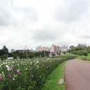 삼거리3호 Daum카페