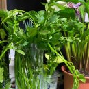 수경빨래방 이미지