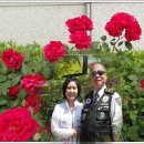 연희동 주민센터 이미지