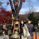 산천관광농원 | '평창관광택시' 타고 떠난 가을의 허브나라 농원