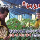 김재승농장 | 흑삼으로 인해 효과를 보신 고객님들의 사례담