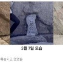 정상석 중앙일보