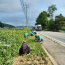 신창면 행정복지센터 이미지