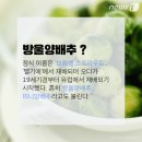 으뜸푸드