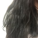 컴플리트 리페어 | [샴푸추천]테라피션 퍼퓸 리페어 컴플리트세트 리얼후기