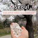 (주)이마트 가든5점 | 서울 벚꽃 명소 장지천 벚꽃길 3월 30일 실시간 개화 주차