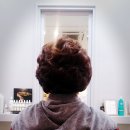 비비헤어(BB헤어) 이미지